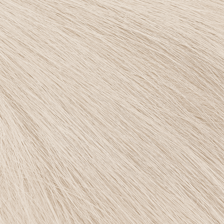 Champagne platina 100